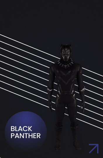 Black Panther image 2